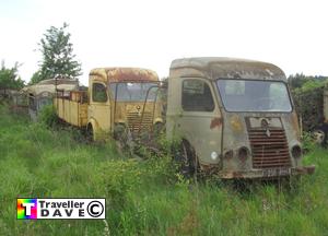 renault,r