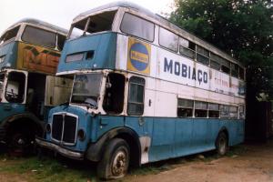 aec,regentV,portugal