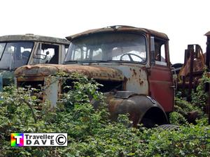 berliet,tlm12,s