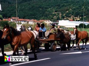 horse drawn 